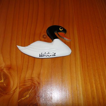 Cabañas Cisne Cuello Negro Apartamento Valdivia Exterior foto